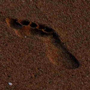 sonne, strand und meer...