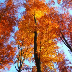 Landschaftsaufnahmen