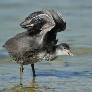 Boah bin ich noch Müde....