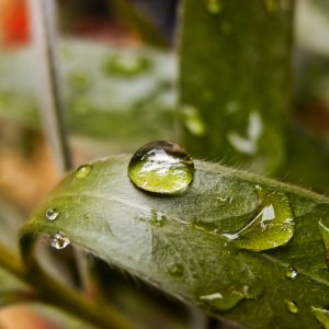 Kleiner Tropfen halt ;)