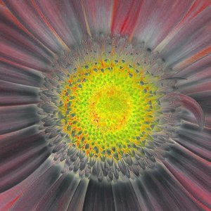 Für eine andere Sicht