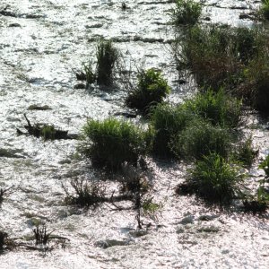 Impressionen im Frühherbst