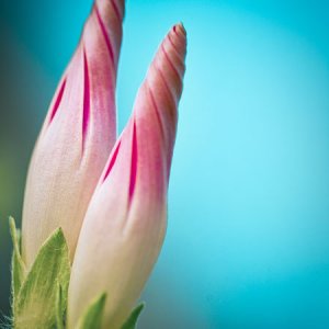 Wunderschöner Sommer.2011