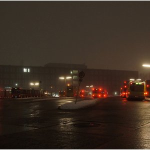 Ein Nest voller Busse