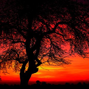 Schöner Herbstabend 3