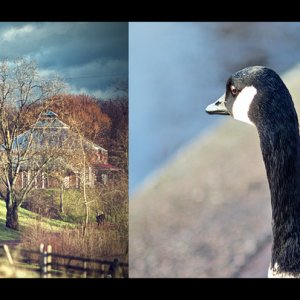 Düsseldorf - Impressionen vor dem Sturm
