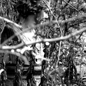 Verborgene Schönheit