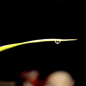 Meine ersten "Gehversuche"