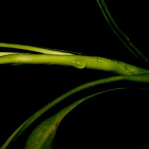 Meine ersten "Gehversuche"