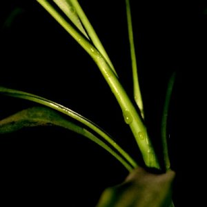 Meine ersten "Gehversuche"