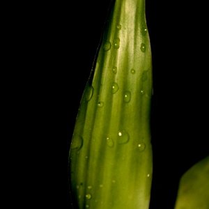 Meine ersten "Gehversuche"