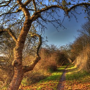 HDR  - erstellt aus drei Aufnahmen -