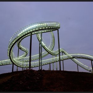 Tiger & Turtle