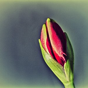 Gemalt oder doch nicht