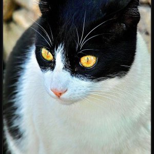 Frigiliana, das andalusische Dorf ...