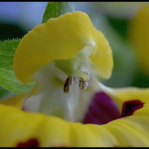 und nochmals vergrößert...