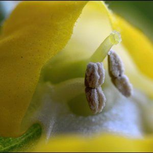 ... und nochmals - sieht es nicht fast schon sexy aus?