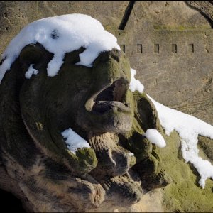 TAIR 3S - Testbilder