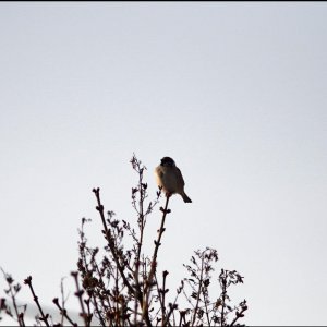 TAIR 3S - Testbilder