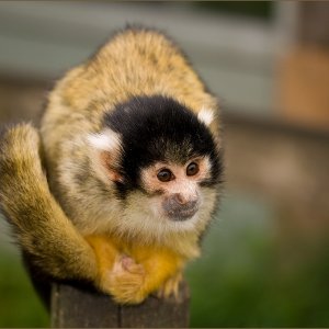 Einfach meine Bilder