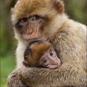 Einfach meine Bilder