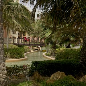 Landschaft im Oman und bei uns