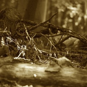 Antarktis und Oman - ein paar heimsiche Fotos