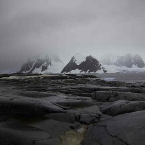 Antarktis und Oman - ein paar heimsiche Fotos