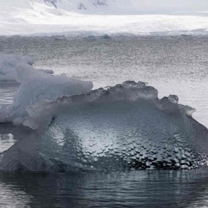 Antarktis und Oman - ein paar heimsiche Fotos
