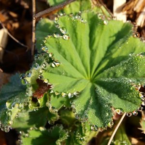 Endlich wieder grün !!!