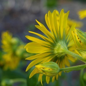 Endlich ist wieder Farbe im Spiel !!