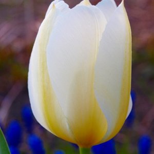 Endlich ist wieder Farbe im Spiel !!