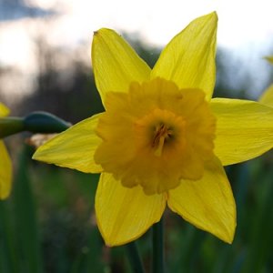 Endlich ist wieder Farbe im Spiel !!