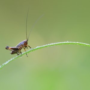 ..und dann gehe ich meine Strasse lang...