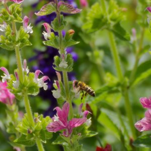 Meine ersten Bilder :-)