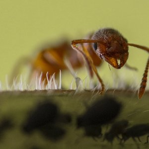 Meine ersten Macro`s