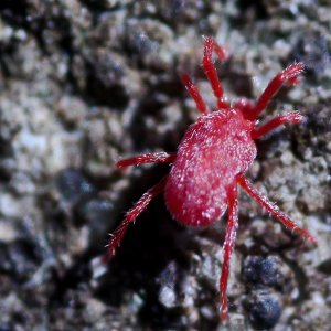 Meine ersten Macro`s