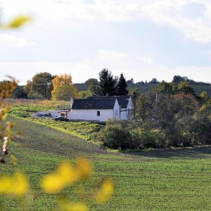 Mein Grundstück inmitten der Natur (1)