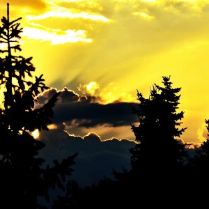 Sonnenuntergänge in Waltrop