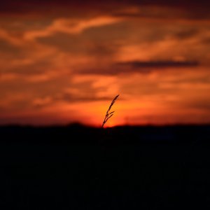 Sonnenuntergänge in Waltrop