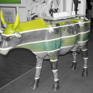 Auch Grün kann schön sein^^