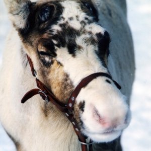 Uff -eins von den 30 Bierchen gestern war wohl schlecht!