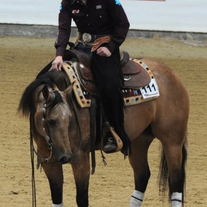 erste fotoversuche ;)