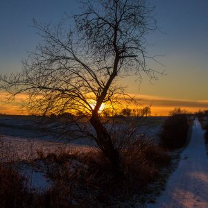 Der erste Schnee im Dezember ..