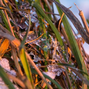 Der erste Schnee im Dezember ..