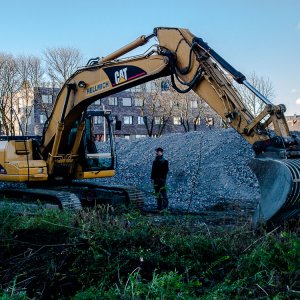 Der Größenvergleich