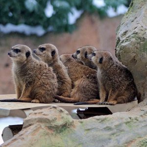 Besuch im Duisburger Zoo
