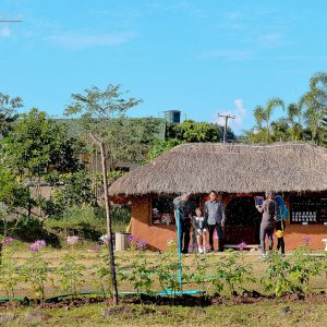 Chinesisches Restaurand1