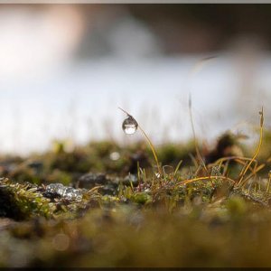 Cemetery Winter 2013