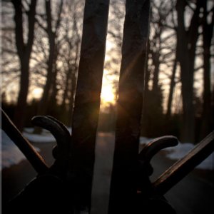 Cemetery Winter 2013